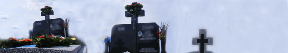 Monumente funerare. Cruci capace borduri. (cripte)